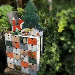 ADVENTNÍ kalendář LES