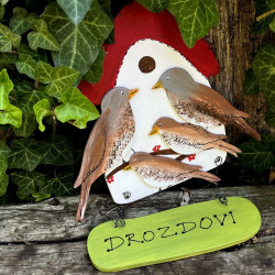 Dřevěná cedulka na dveře DROZDOVI