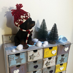 ADVENTNÍ kalendář pro pejskaře